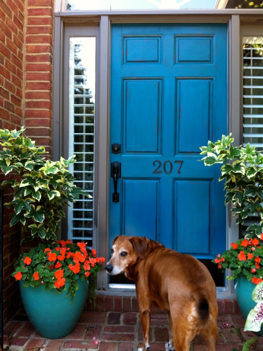 Sampling the paint color that matches the new windows we are putting in soon.
